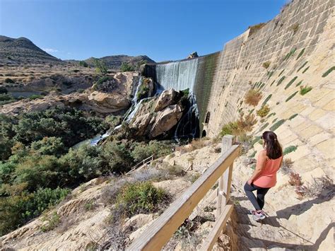 Rutas para conocer el Pantano de Elche